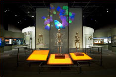 Spitzer Hall of Human Origins