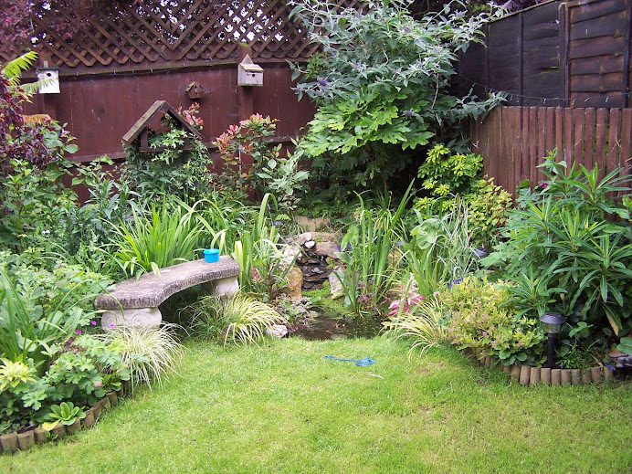 My Wildlife Garden