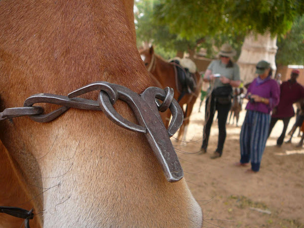 Common Style of Traditional Bridle