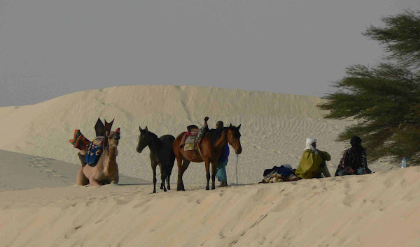 Festival au Desert, Essakane Mali
