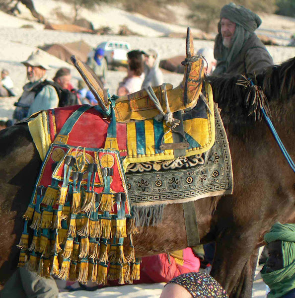 Festival au Desert, Essakane Mali