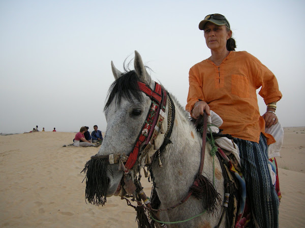 Riding Oumar's Stallion