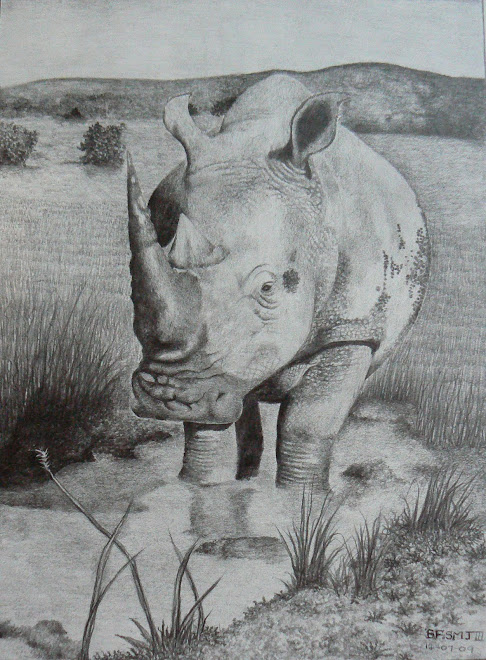 Pencil Rhino