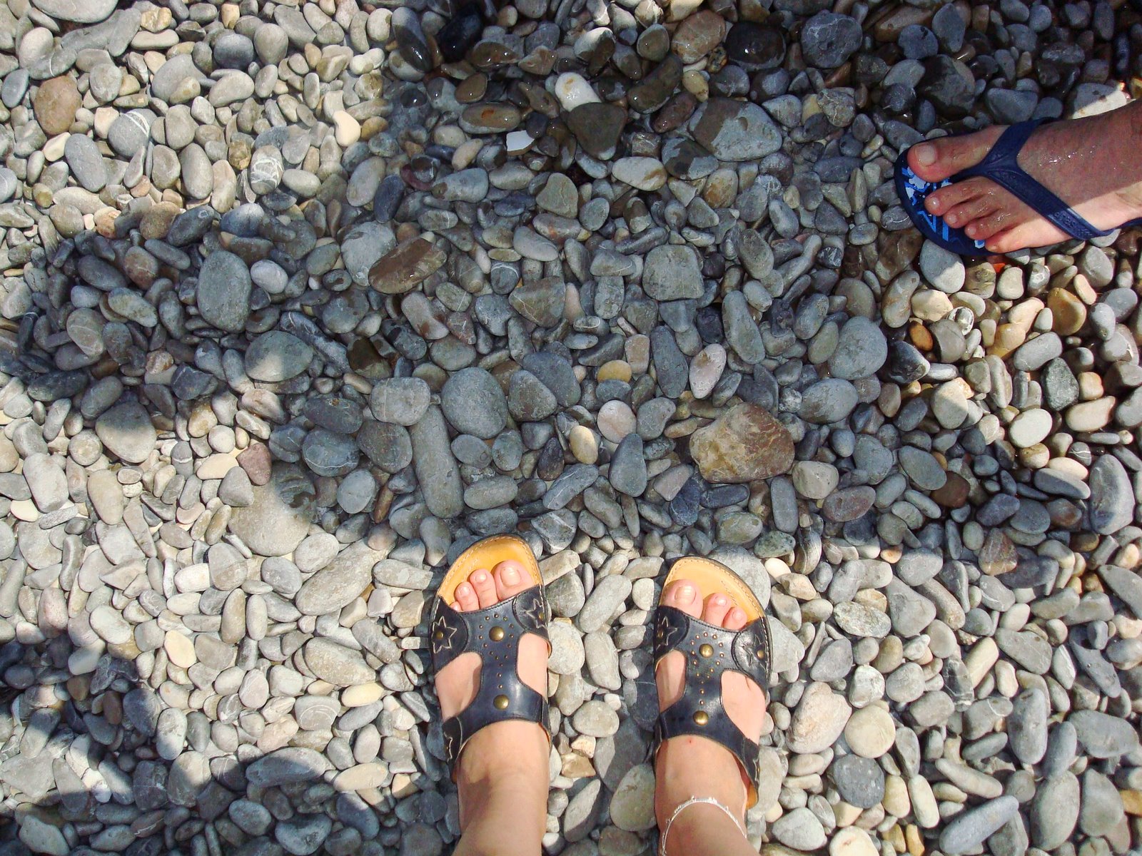 [DSC08644.JPG]