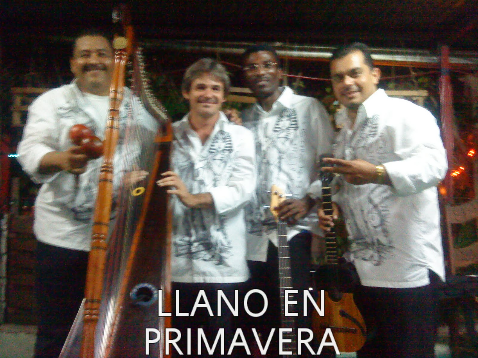 Llano en Primavera