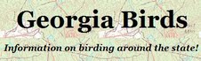 Georgia Birds