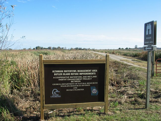 Altamaha Waterfowl Management Area GA