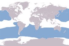 Albatross Distribution Map