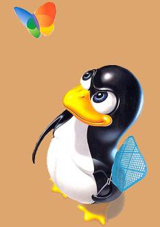 [linux.JPG]
