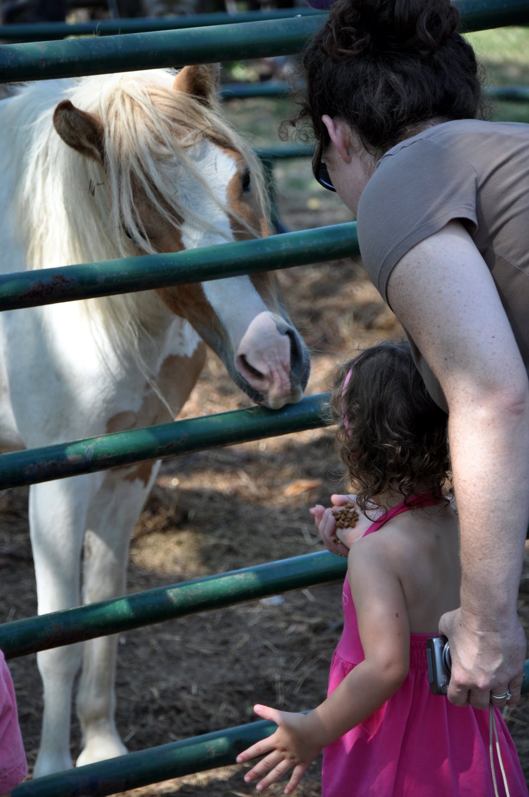 [DSC_0042.JPG]