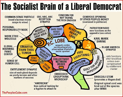 Liberal_Brain.jpg