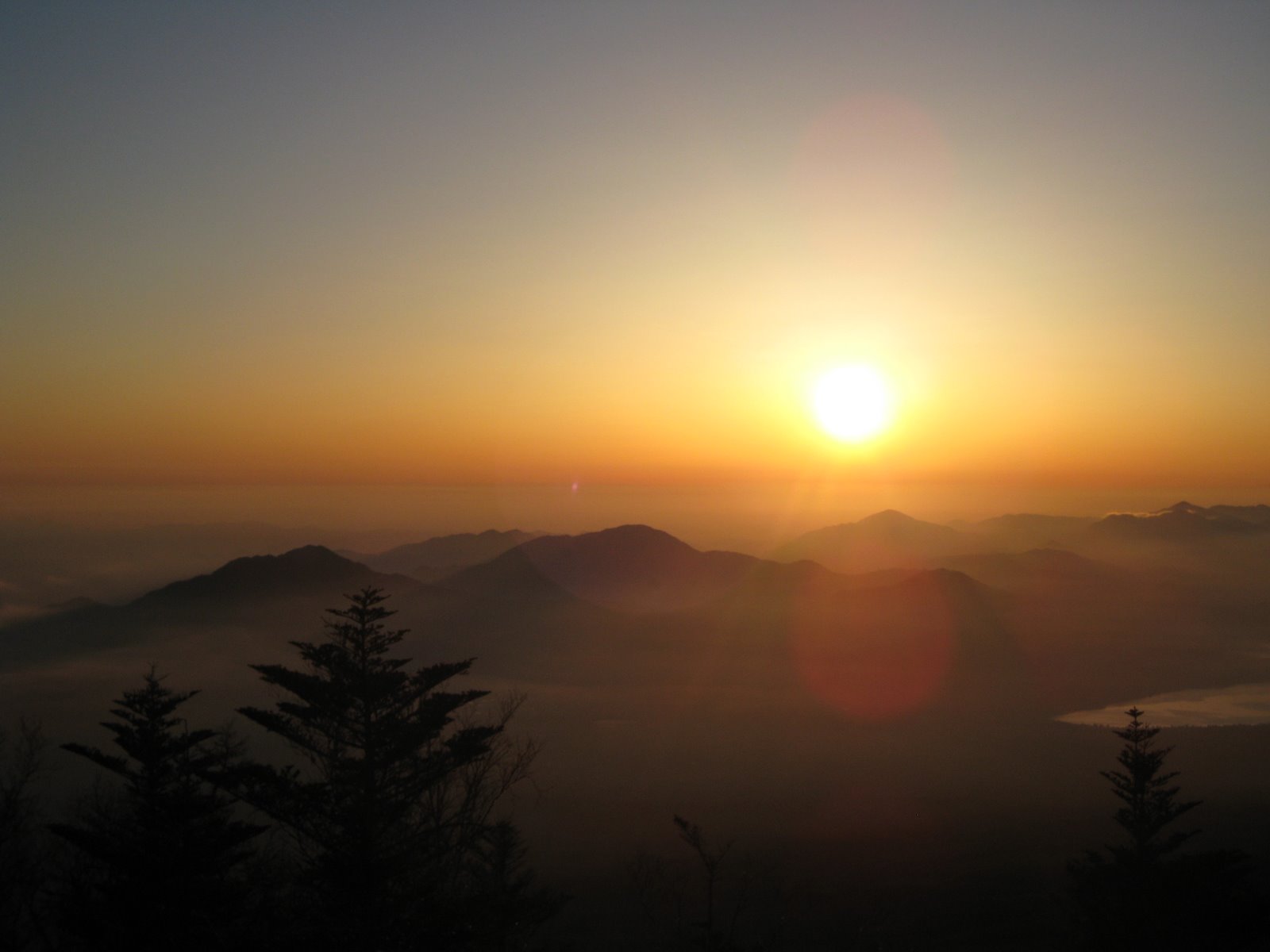 [IMG_1268.JPG]