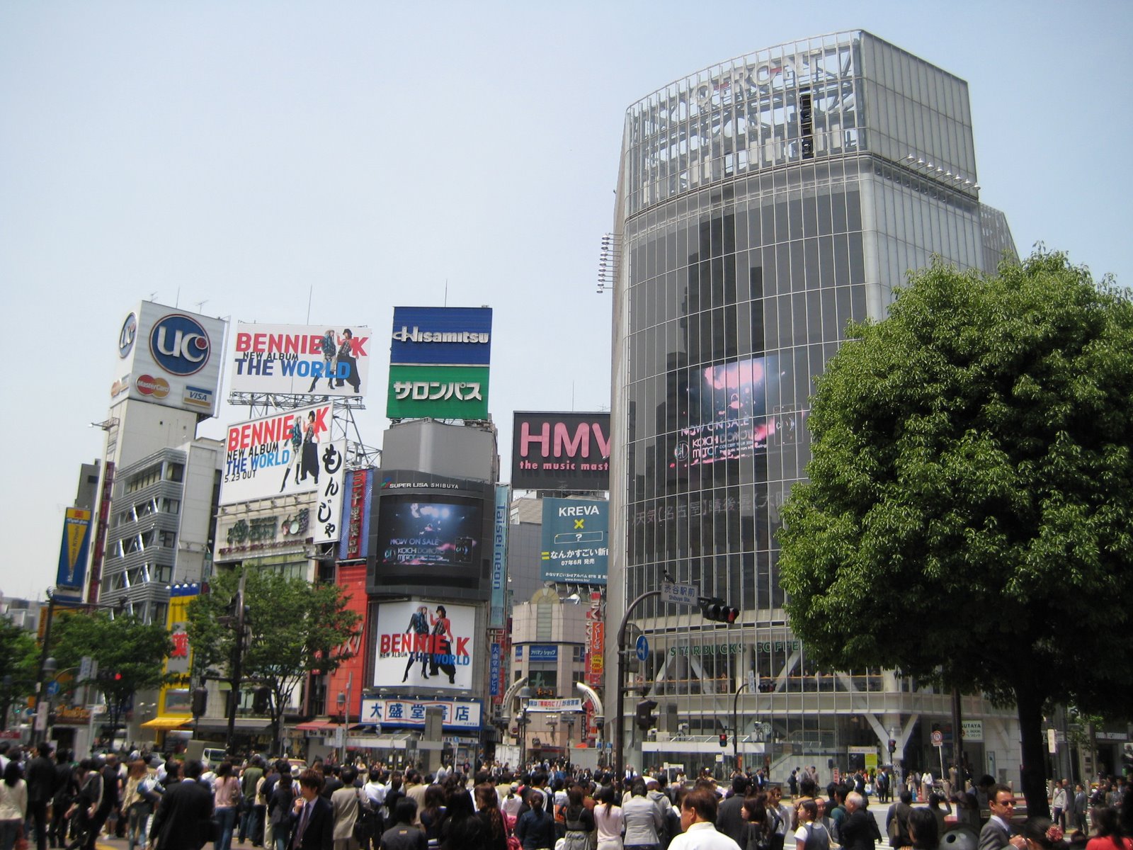 [IMG_0387.JPG]