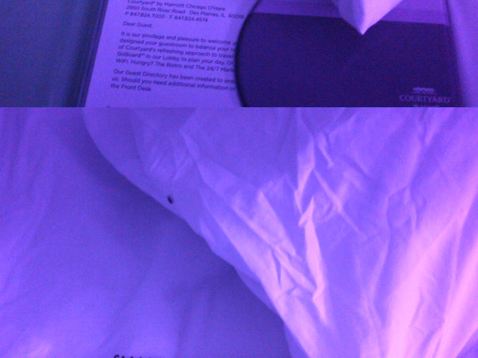 Bed Bugs at Marriott Bed Bugs at Marriott