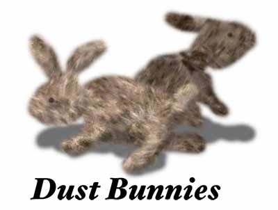 [dust_bunnies.jpg]