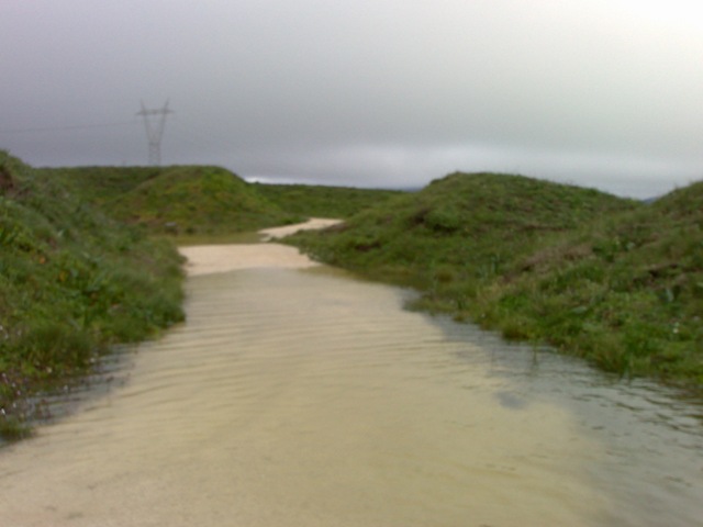 [FortePeq_20100306_3.jpg]