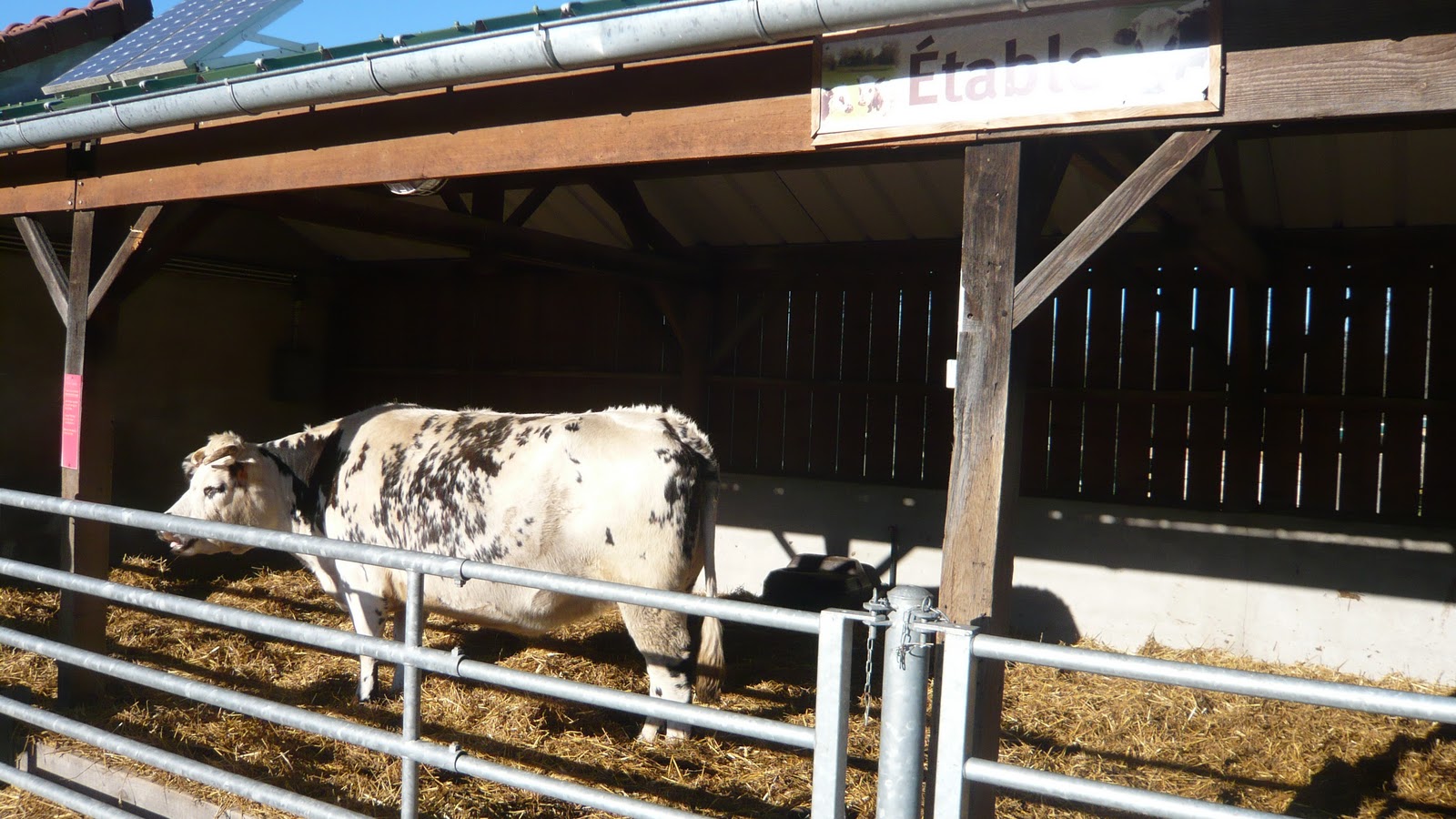 rencontres à la ferme