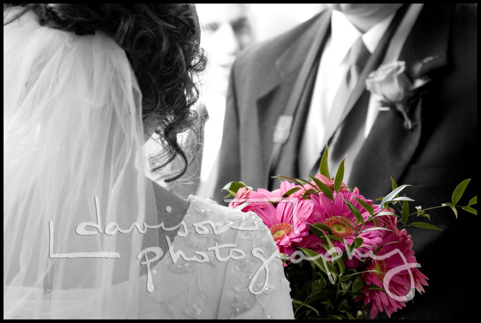 [2-490--flowers.jpg]