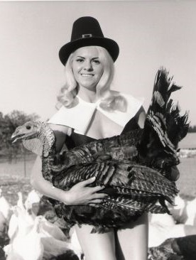 [thanksgiving-pinup01.jpg]