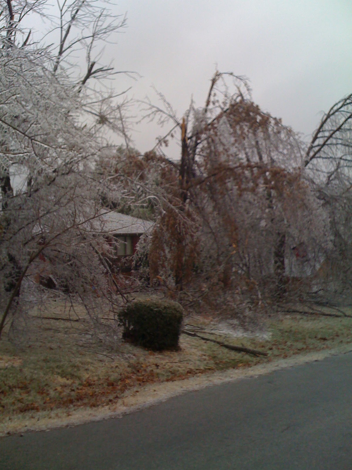 [iPhonePics+041.jpg]