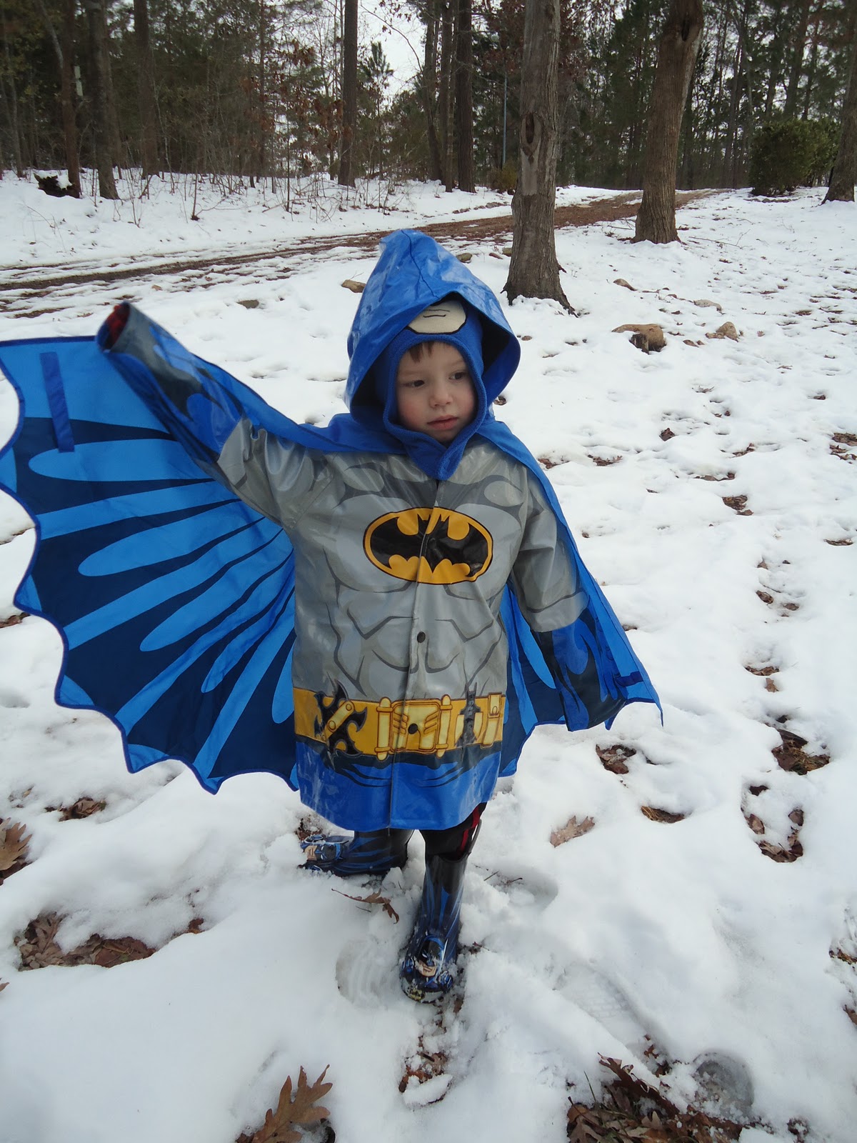 Beautiful Wickedness