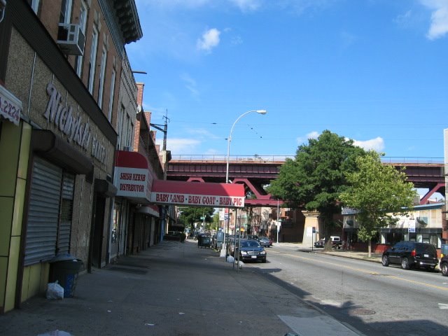 [IMG_1768.jpg]