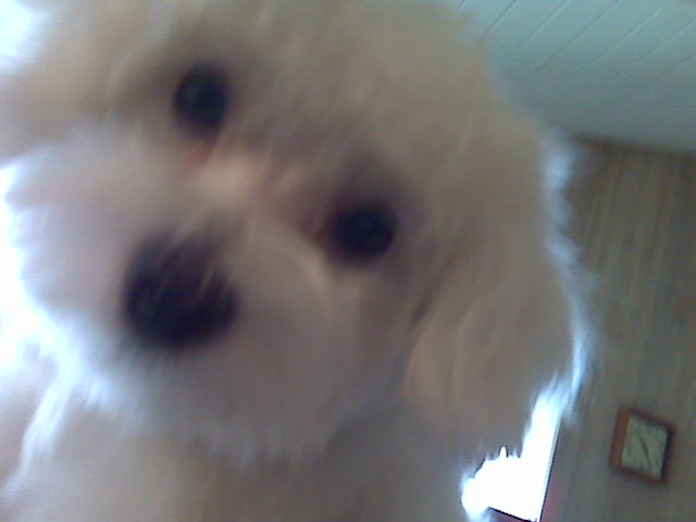 [=?utf-8?B?SU1HMDAwNjMuanBn?=-730485]