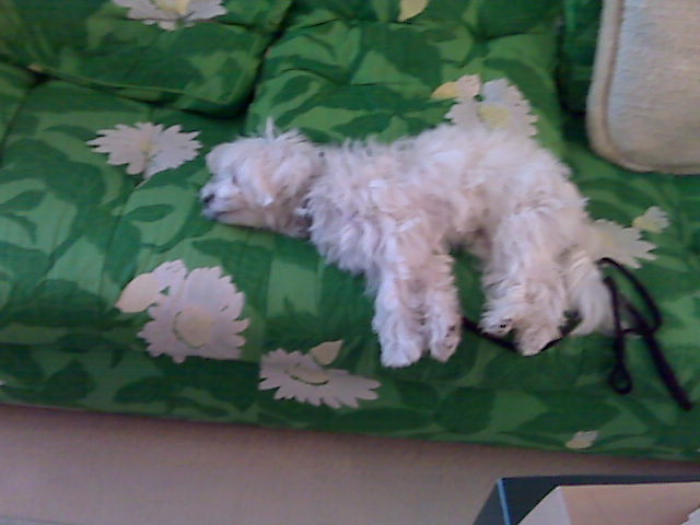 [=?utf-8?B?SU1HMDAxOTYuanBn?=-726949]