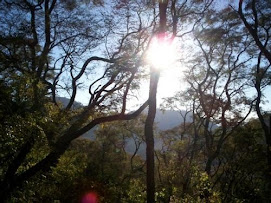 SU CERRO...NUESTRO CERRO