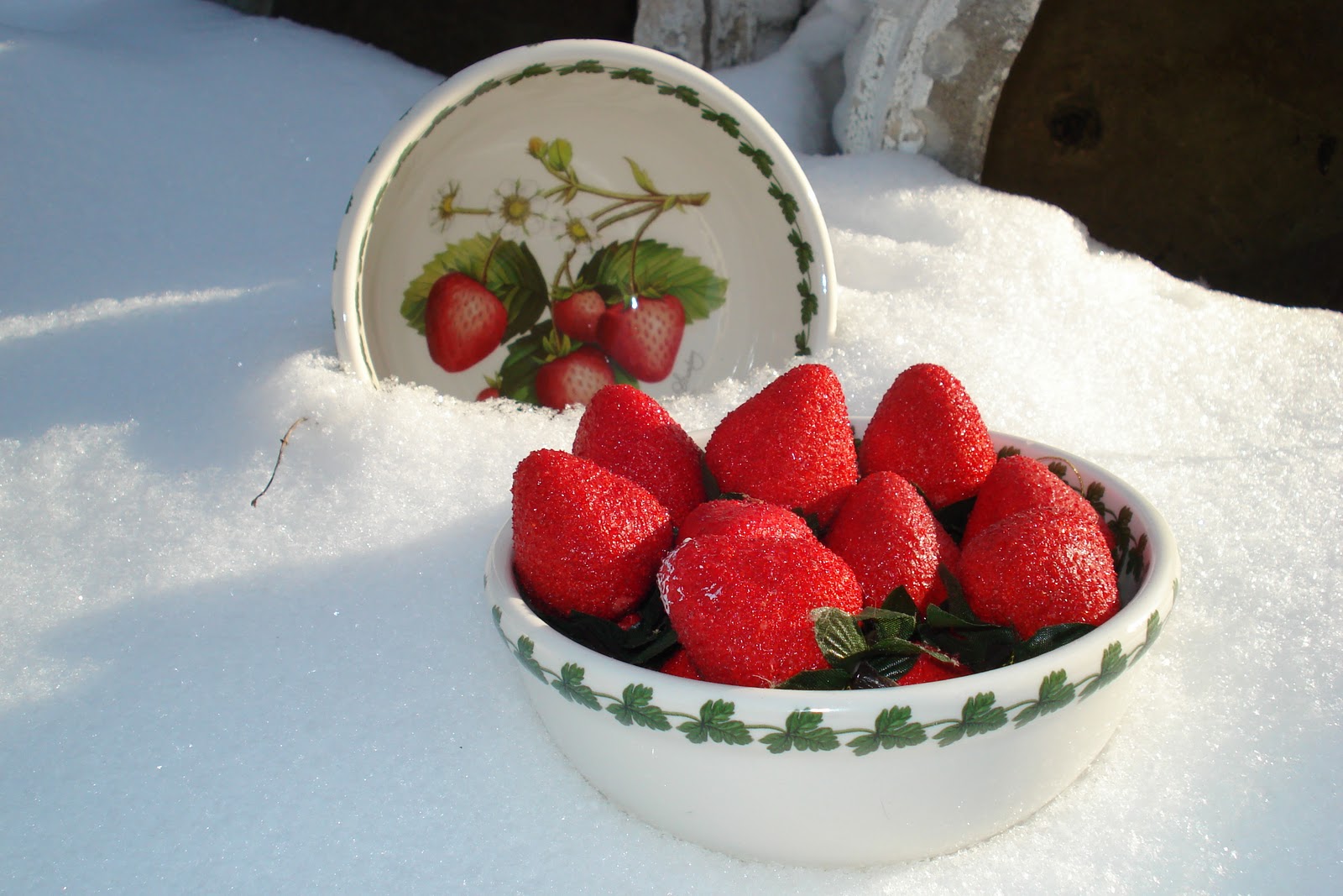 Curtains In My Tree Strawberries In The Snow