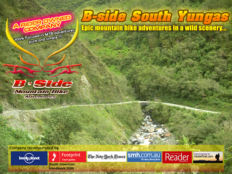 Bside South Yungas