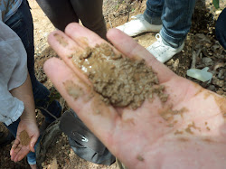 Campo Pedologia Embrapa milho e Sorgo Sete Lagoas