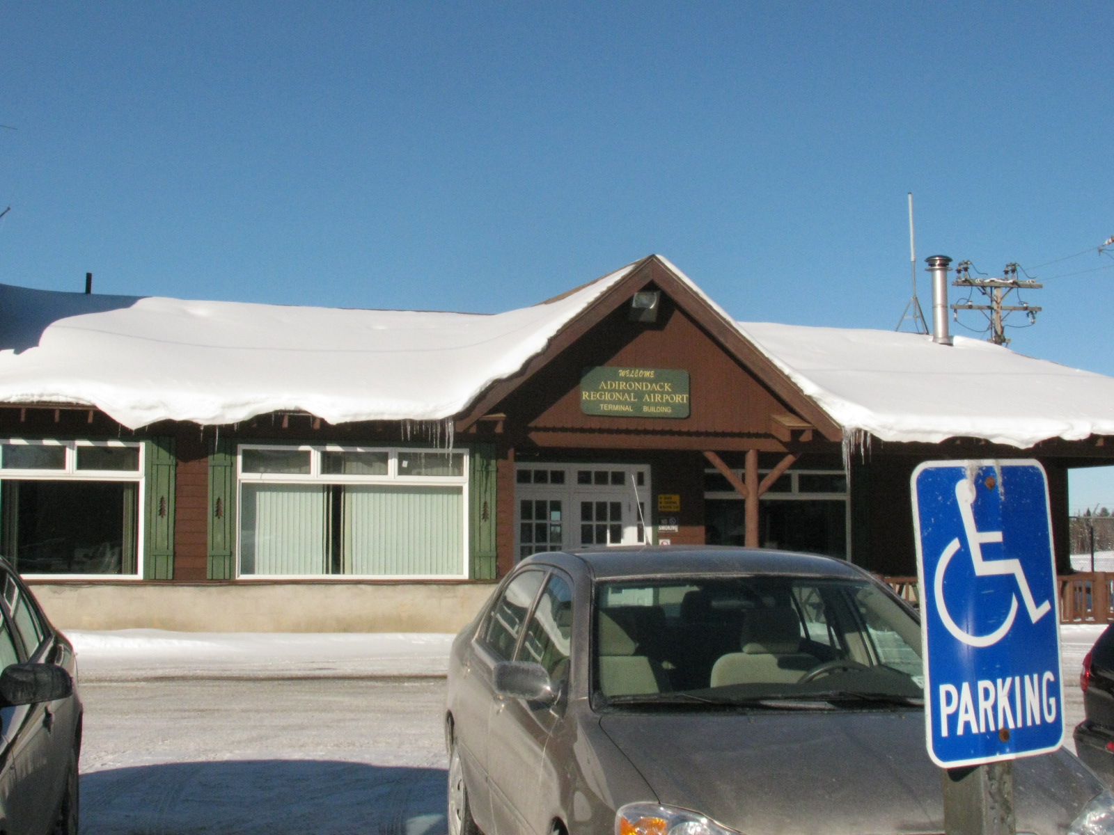Wake Robin on my table