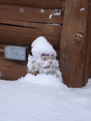 Gnome in the snow