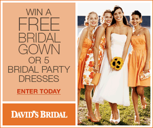 [davids+bridal.gif]