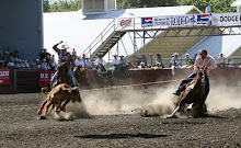 Speed Williams Team Roping