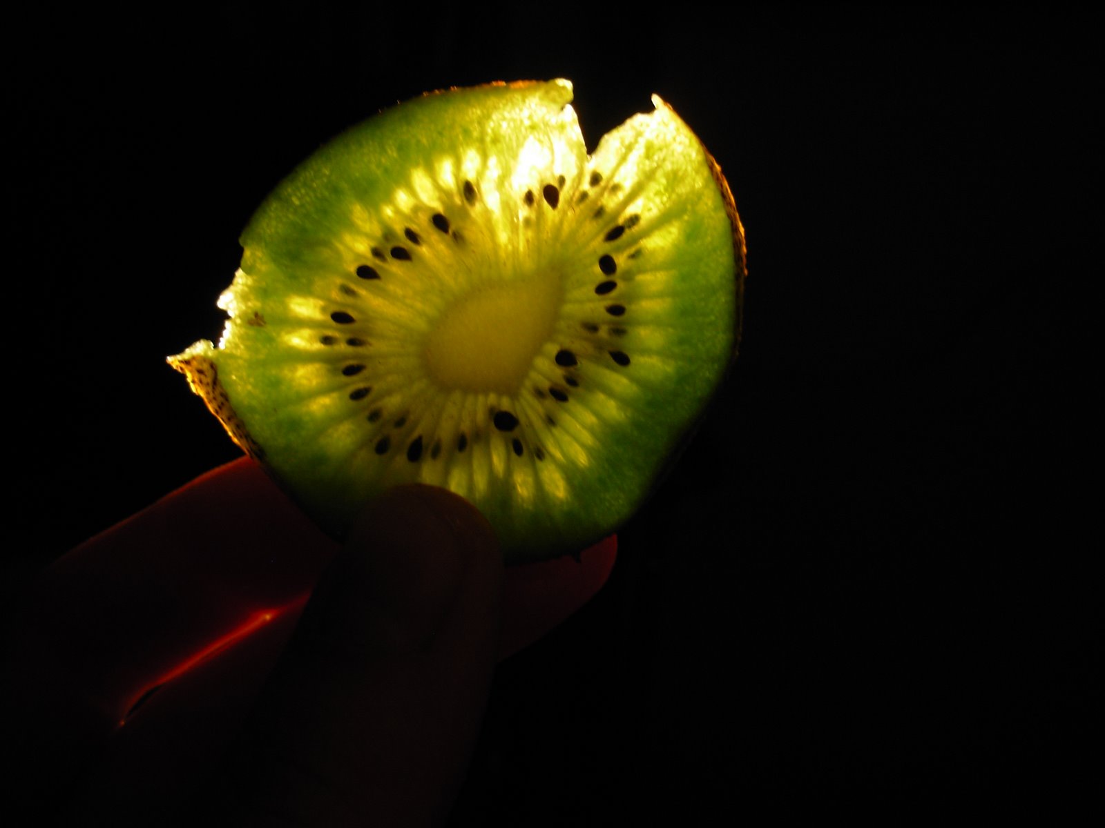 [DSCN7881.JPG]