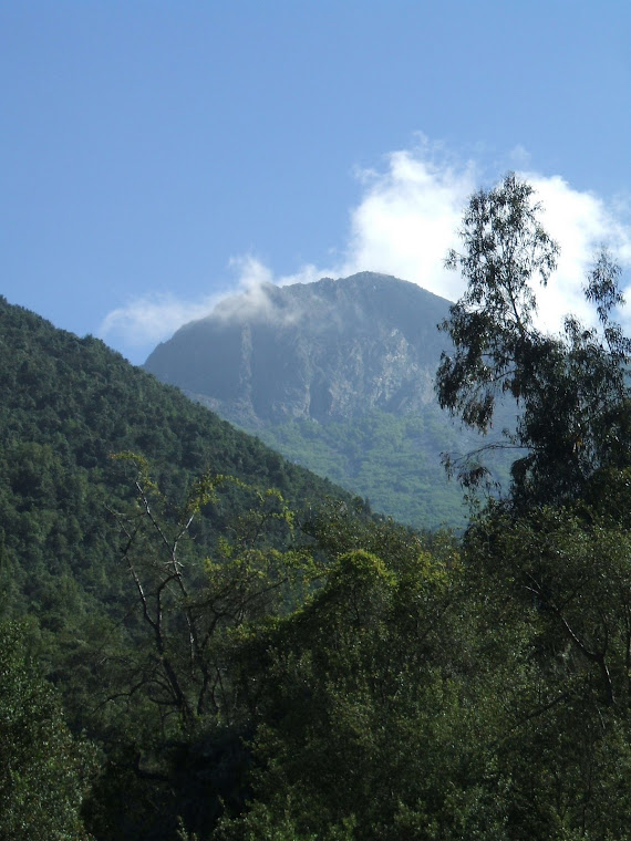 Cerro la Campana