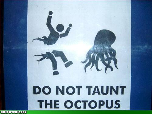 [donottauntoctopus.jpg]