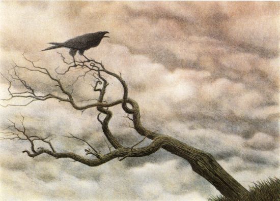 [raven.jpg]