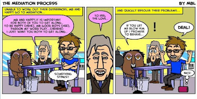 The Mediation Process