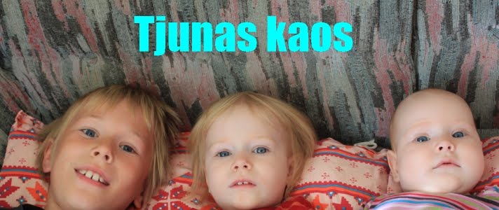Tjunas kaos