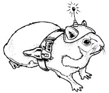 Space Hamster
