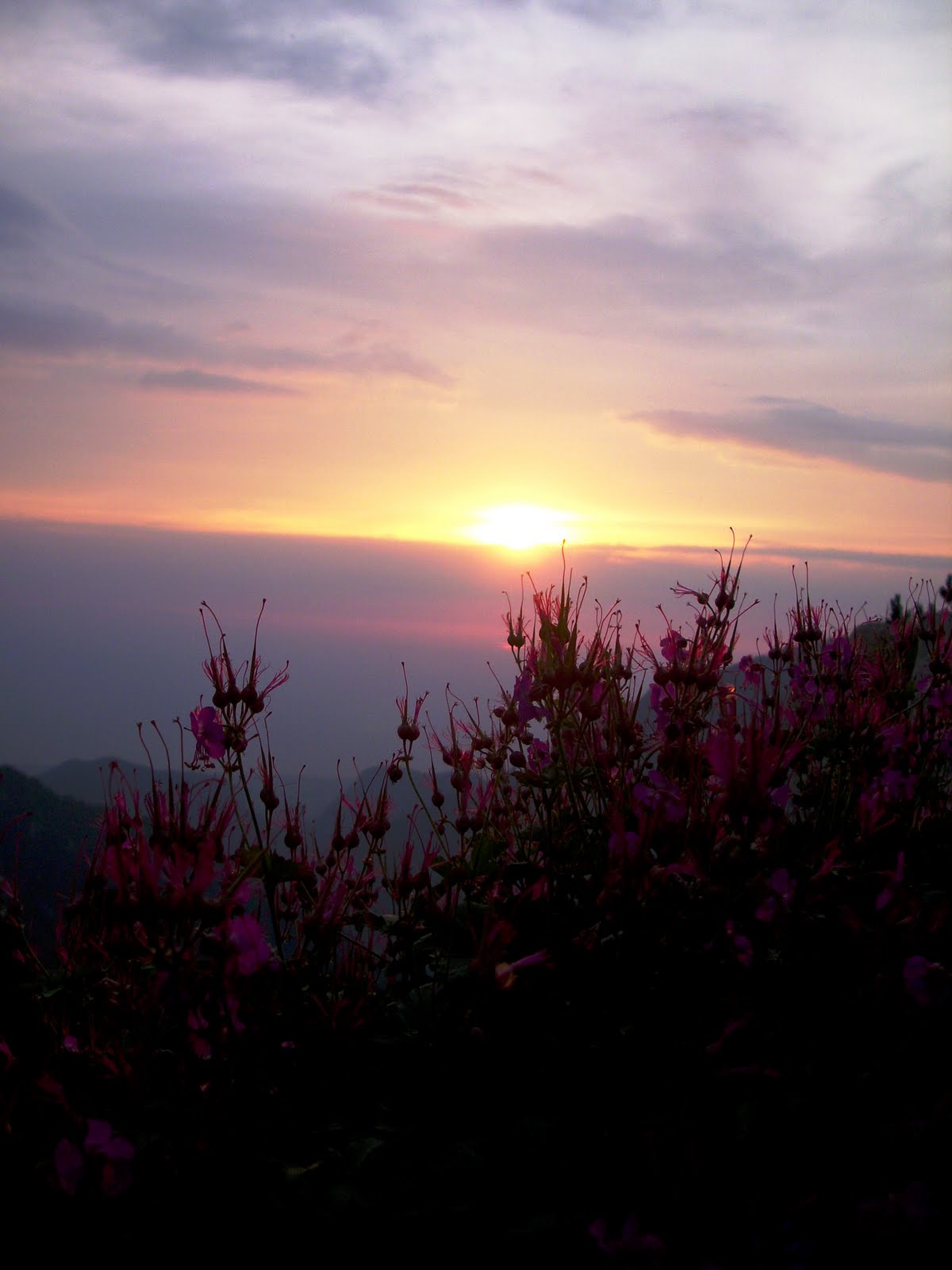 [DSCI0089.JPG]