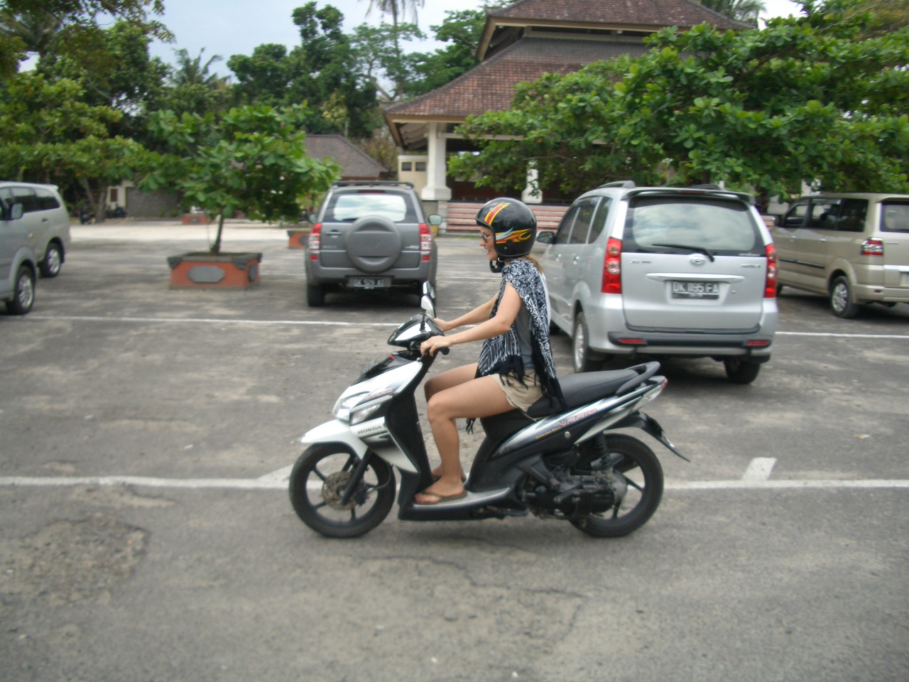 [CIMG3680.JPG]
