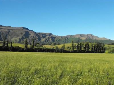 [queenstown.jpg]