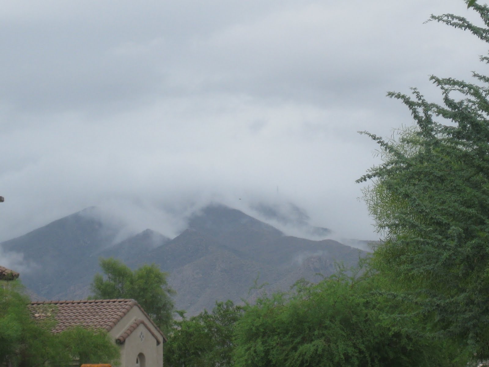 Home Near Luke AFB for Rent