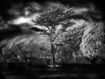 Fotografia de Mitch Dobrowner
