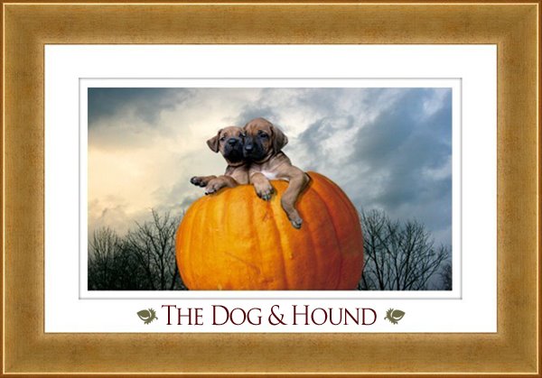 The Dog and Hound