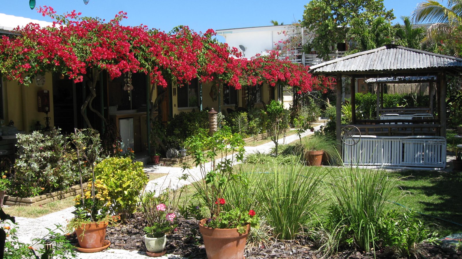 [The+gardens+at+the+DeSoto+Oceanview+Inn,+Hollywood.jpg]